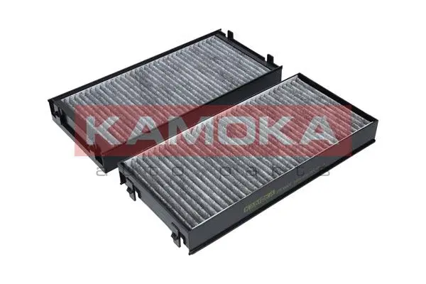 Filter, cabin air (F508801)
