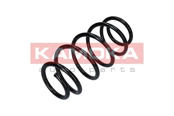 Suspension Spring (2110193)