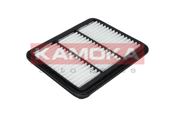 Air Filter (F223101)