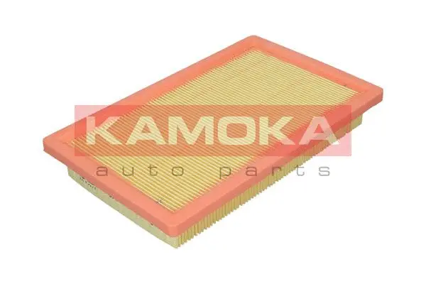 Air Filter (F253401)