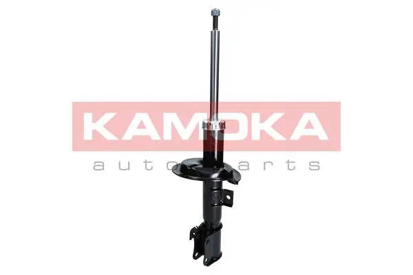 Shock Absorber (2000203)