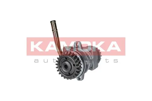 Hydraulic Pump, steering (PP198)