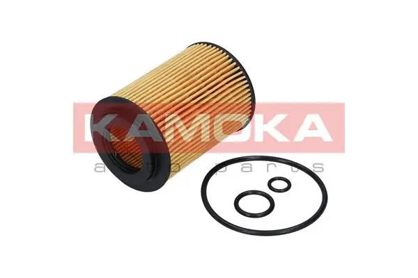 Oil Filter (F111901)