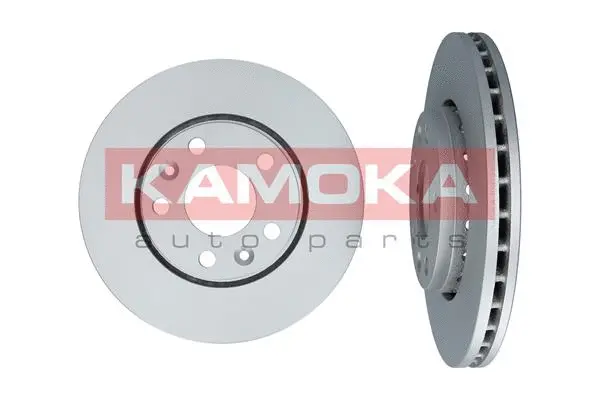 Brake Disc (1031043)