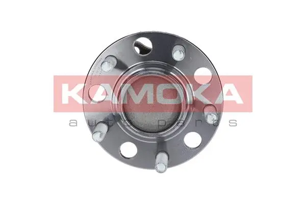 Wheel Bearing Kit (5500084)