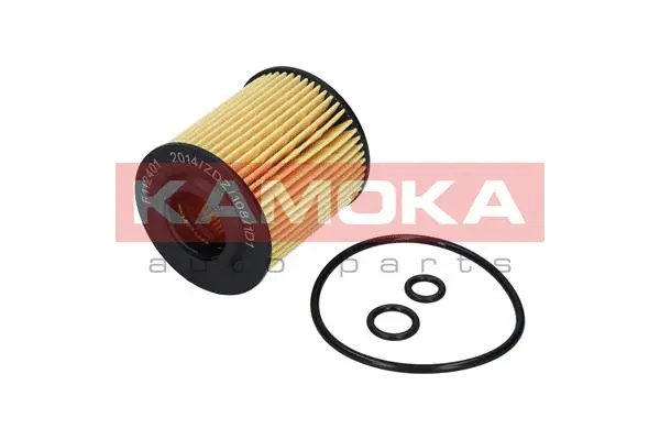 Oil Filter (F112401)