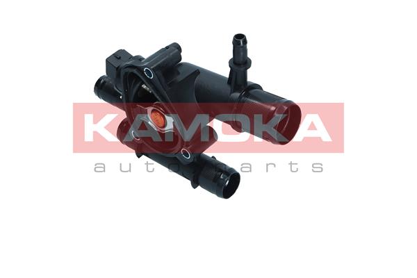 Thermostat, coolant
