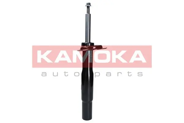 Shock Absorber (2000035)
