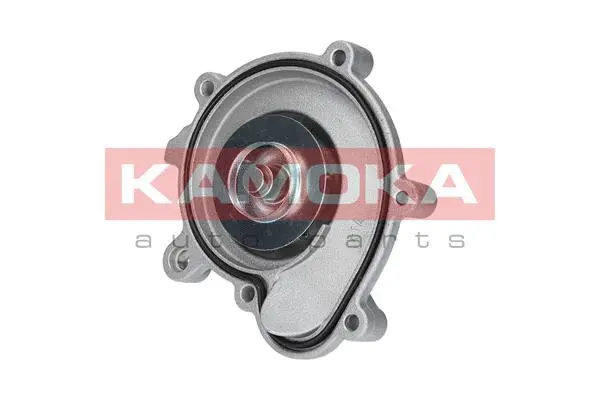 Water Pump, engine cooling (T0194)