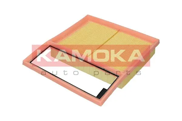 Air Filter (F252901)
