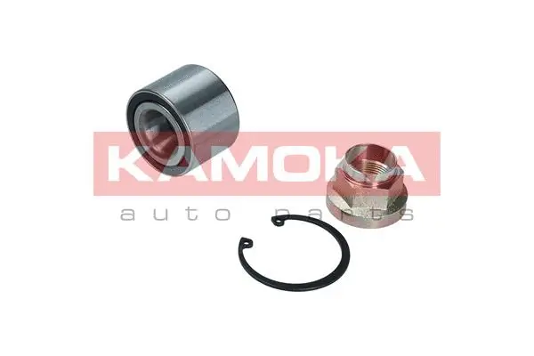 Wheel Bearing Kit (5600111)