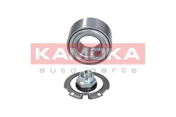 Wheel Bearing Kit (5600055)