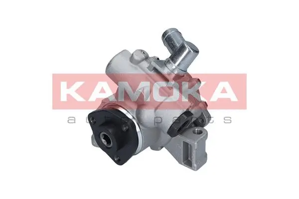 Hydraulic Pump, steering (PP132)
