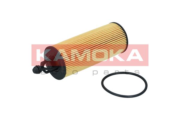 Oil Filter (F122901)