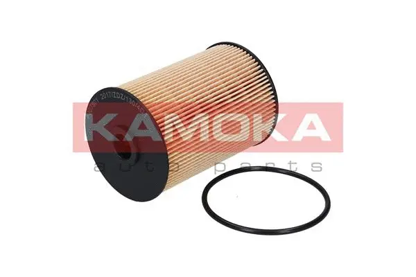 Fuel Filter (F307801)