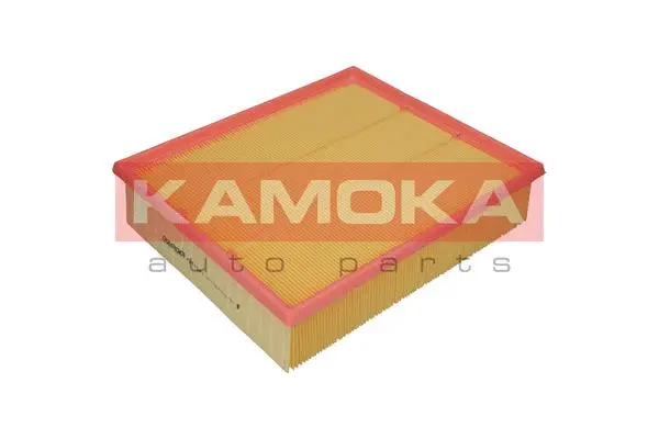 Air Filter (F201301)