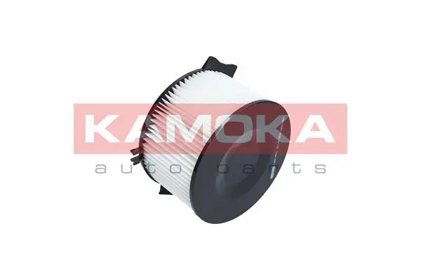 Filter, cabin air (F401401)