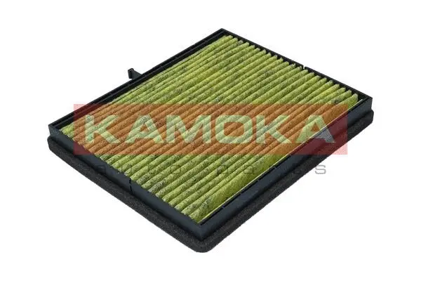 Filter, cabin air (6080120)