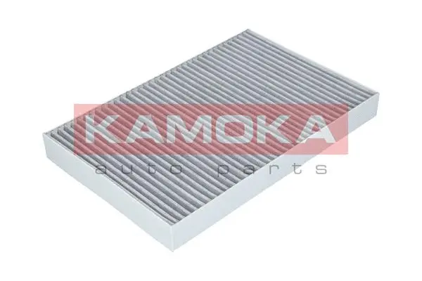 Filter, cabin air (F508201)