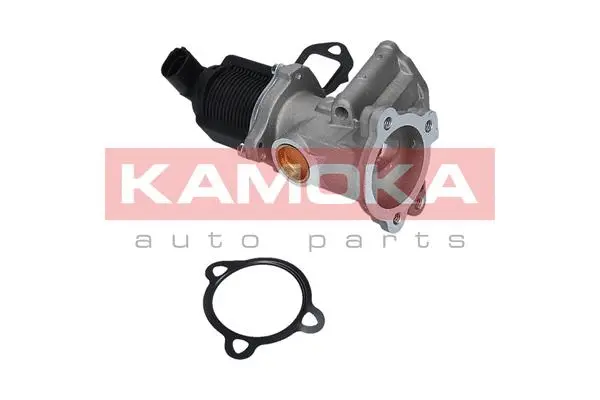 EGR Valve