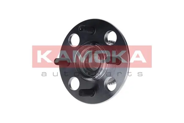 Wheel Bearing Kit (5500032)
