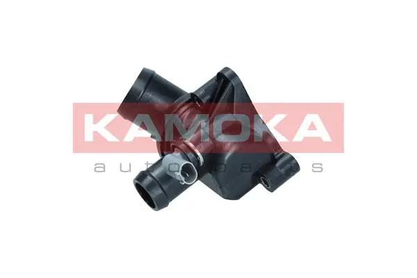 Thermostat, coolant