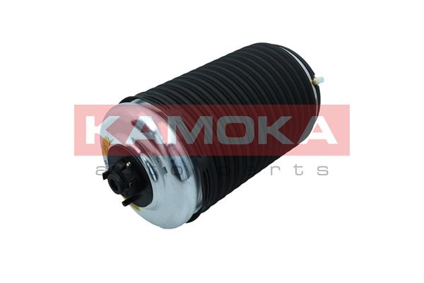 Air Spring, suspension