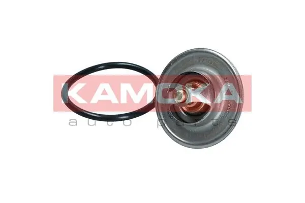 Thermostat, coolant