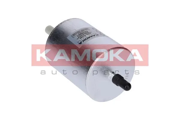 Fuel Filter (F310801)