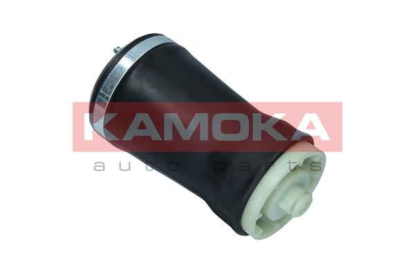 Air Spring, suspension