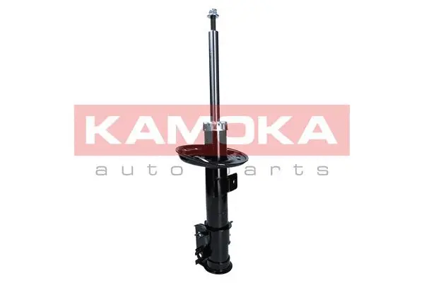 Shock Absorber (2000373)