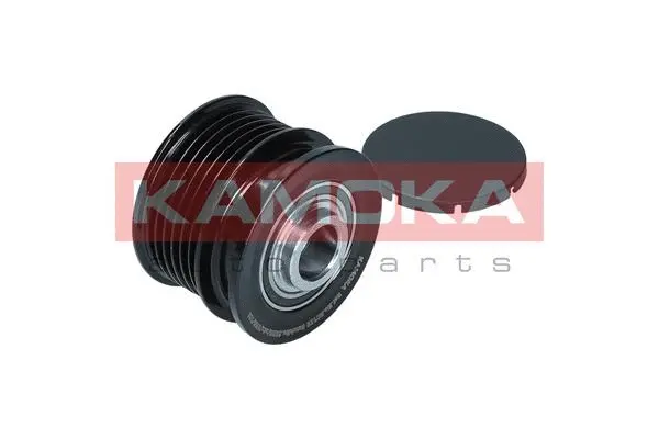 Alternator Freewheel Clutch (RC125)