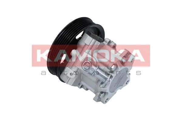 Hydraulic Pump, steering (PP004)