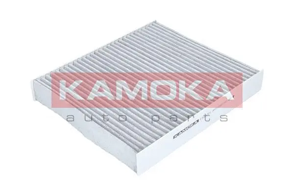 Filter, cabin air (F504701)