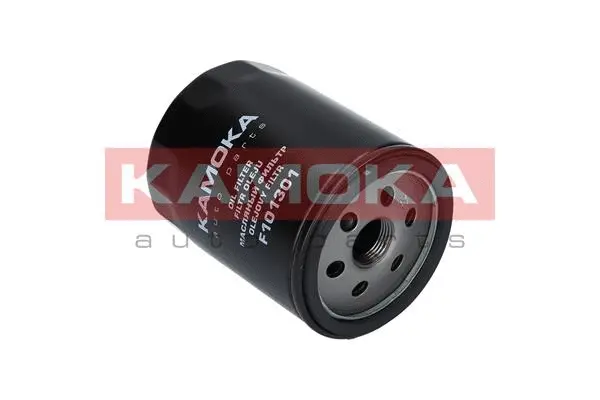 Oil Filter (F101301)
