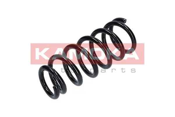 Suspension Spring (2120229)