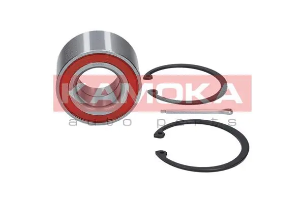 Wheel Bearing Kit (5600022)