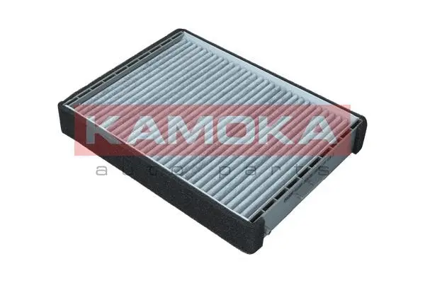Filter, cabin air (F516901)