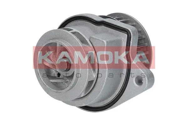 Water Pump, engine cooling (T0248)