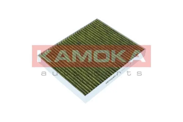 Filter, cabin air (6080102)