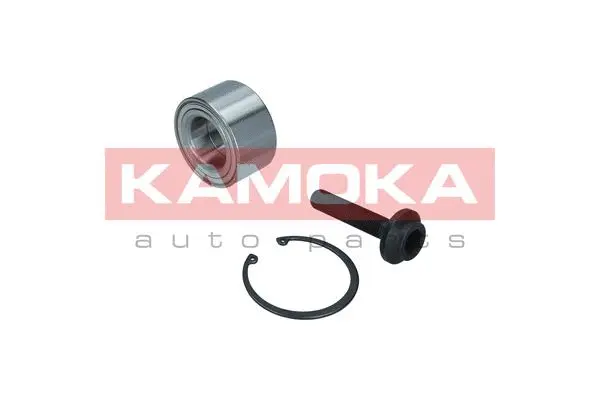 Wheel Bearing Kit (5600105)