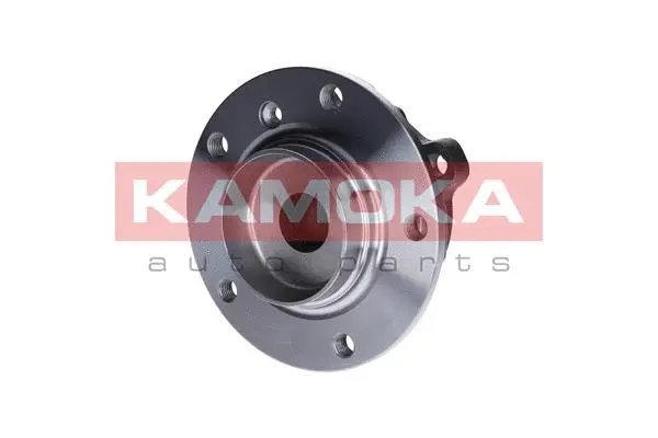 Wheel Bearing Kit (5500132)