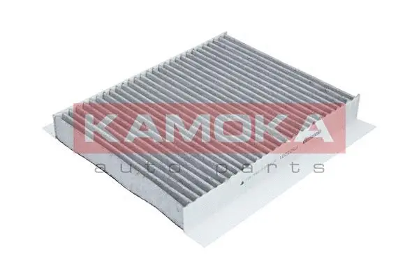 Filter, cabin air (F502201)
