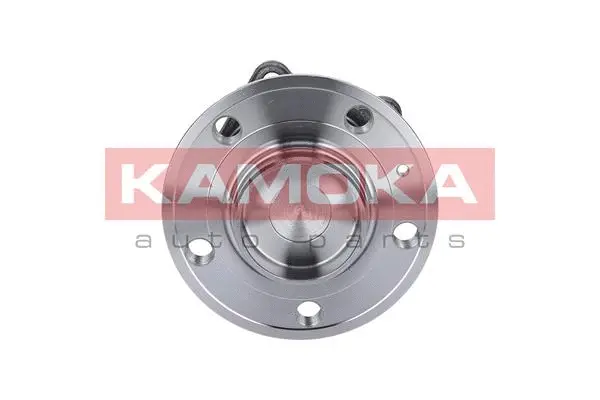 Wheel Bearing Kit (5500099)