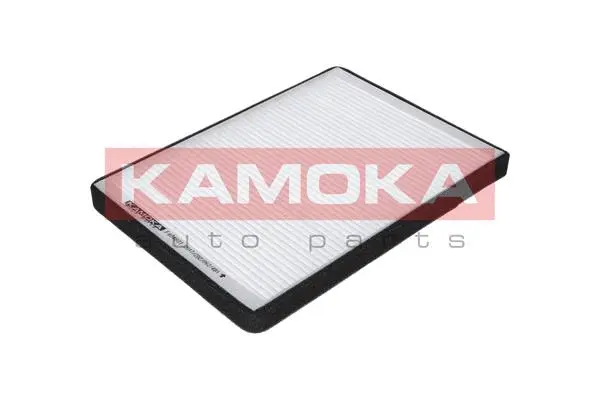 Filter, cabin air (F404601)