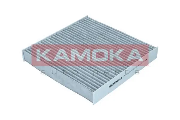 Filter, cabin air (F515901)