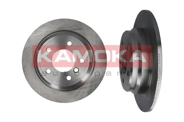 Brake Disc (1031670)