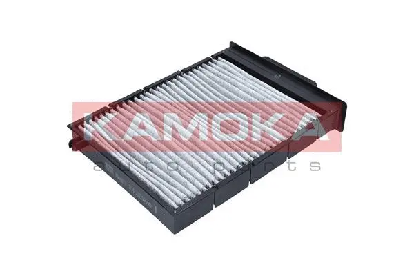 Filter, cabin air (F504001)