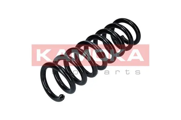 Suspension Spring (2120178)