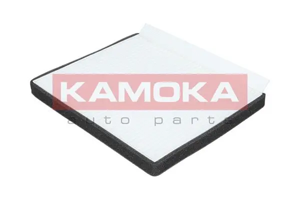 Filter, cabin air (F415501)